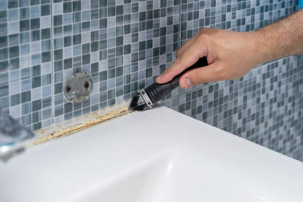 Best Commercial Mold Removal  in Louise, TX