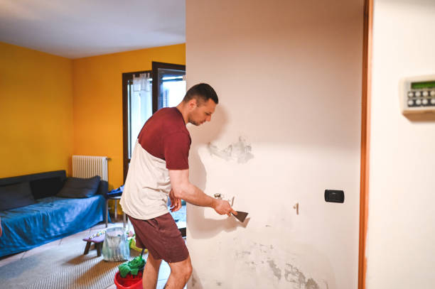 Best Mold Remediation  in Louise, TX